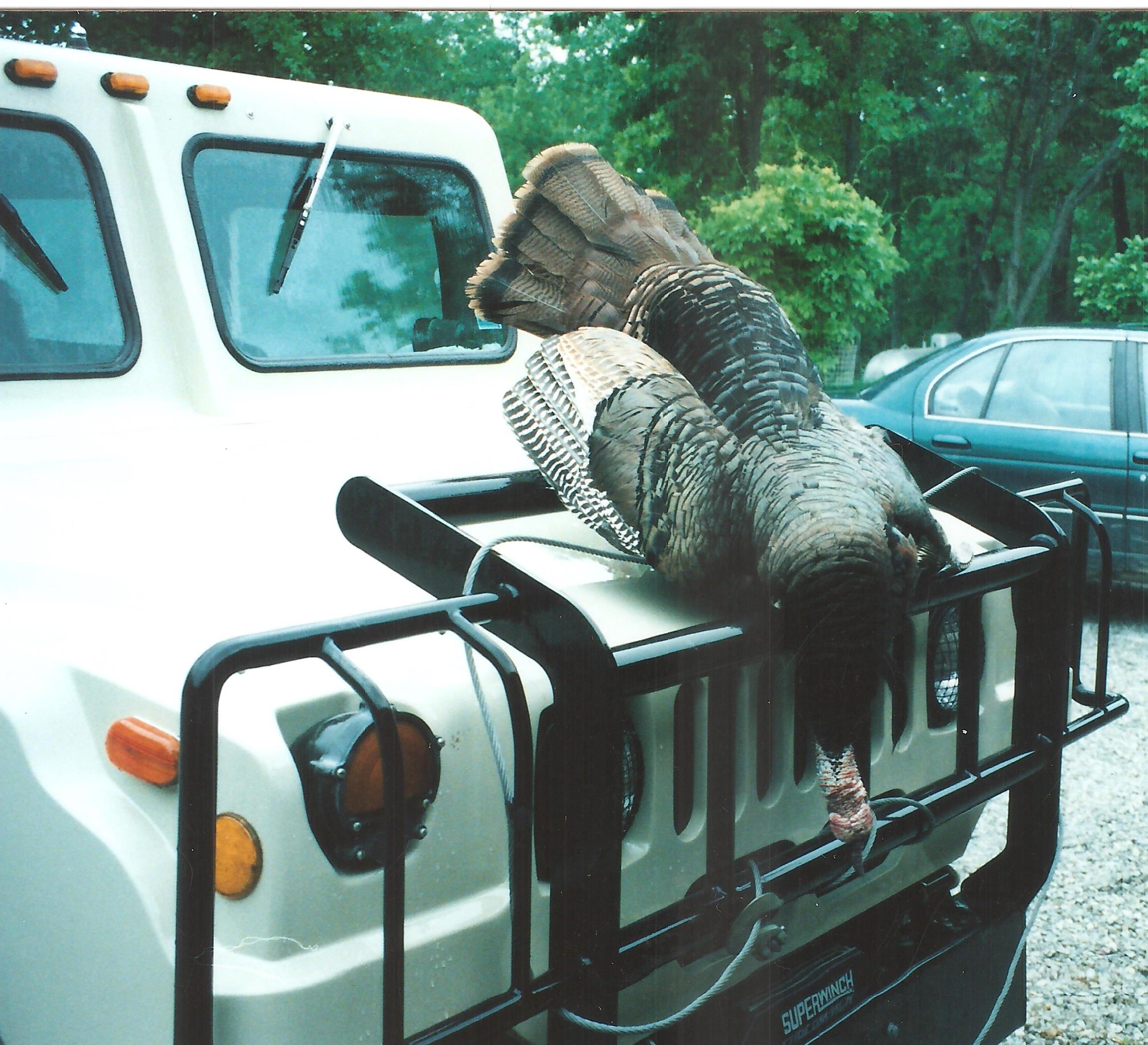 hummer